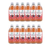 PLANETA HUERTO | Pack 12x Kombucha ECO Frutos rojos 330 ml