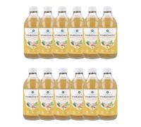 PLANETA HUERTO | Pack 12x Kombucha ECO Jengibre y lemongrass 330 ml