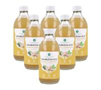 PLANETA HUERTO | Pack 6x Kombucha ECO Jengibre y Lemongrass - 330 ml