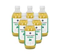 PLANETA HUERTO | Pack 6x Kombucha ECO Té Verde y Lima 330 ml | Bebida Fermentada Natural | Rica en Antioxidantes