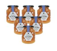 PLANETA HUERTO | Pack 6x Miel Cruda de Mil Flores 500 g