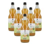PLANETA HUERTO | Pack 6x Vinagre de manzana ECO crudo sin filtrar con la madre 1L - 5% Acidez, No pasteurizado, Vegano, Origen España