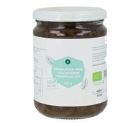 PLANETA HUERTO Remolacha Fermentada con Jengibre ECO 420g - Probiótico Natural, Sabor Intenso y Rico en Nutrientes