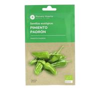 Planeta HUERTO | Semillas Ecológicas de Pimiento de Padrón - Variedad Tradicional con Frutos Pequeños y Sabor Suave o Picante