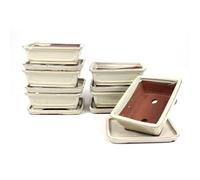 PLANETA HUERTO | Tiesto Bonsái Rectangular 20 cm con Plato Crema - Estilo Elegante y Funcional para Bonsáis Pequeños