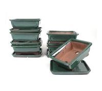 PLANETA HUERTO | Tiesto Bonsái Rectangular 20 cm con Plato Verde - Maceta de Diseño Atractivo y Resistente para Bonsáis