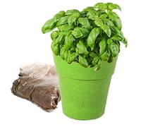 PLANETE PLANTE- Gardening Kit (MGM 170036)