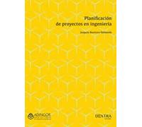 Planificación de proyectos en ingeniería: 12 (Ingeniería de organización)