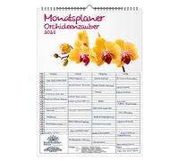 Planificador de pared familiar de 4 columnas - Orquídeas DIN A3 calendario para 2023 orquídeas y flores