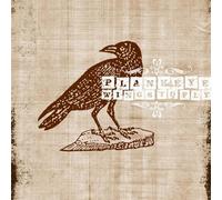 PLANKEYE - WINGS TO FLY