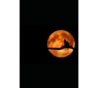 Planner: Lunar Cycle for Harmony With Yourself