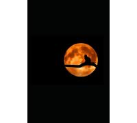 Planner: Lunar Cycle for Harmony With Yourself