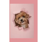 Planner Quotidiano Senza Data per la Crescita Personale: Per organizzare i pensieri, seguire la crescita personale e vivere con intenzione