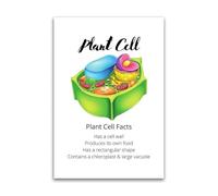 Plant Cell Science Poster Biology Educational Wall Chart for Classroom and Home Study Area(Unframed,08x12inch(20x30cm))