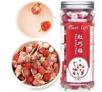 Plant Gift 100% Puro Té de Ciruela Roja 红巧梅, 30g/1.05oz Té de flores