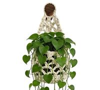 Plant Hanger Indoor - Boho Macrame Wall Plants Hanger, Woven Cotton Rope Plant Holder | Small Hanging Flower Pot Holder Wall Decor for Bedroom Kitchen Door Office Apartment Dorm Home