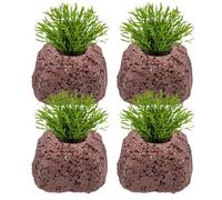 Plant Holder For Aquarium - Volcanic Stone Oval Ring Decor | Stable Plants Anchoring Aquatic Water Plant Fixed Rings - For Freshwater Saltwater Pool Pond Aquatic Cultivation Landscape Decorations