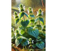 Plant Lover Notebook: Simple Aesthetic Journal for Nature Enthusiasts, Softcover Botanical Sketchbook - Great for Creativity & Planning