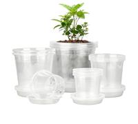 Plant Nursery Pots | 20-Pieces Transparent with Drainage and Saucers, Growth-Friendly Vegetable Nursing Pots, Sturdy For Tomatoes Orchids Flowers Succulents Cactus Carrots Cucumbers Peppers