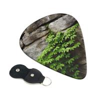 Plant on Stone Wall - Juego de 6 púas de guitarra con soporte de cuero para púas de guitarra, bolsa para llaves, púa de arte abstracto para guitarra eléctrica acústica, ukelele de 0.71 mm