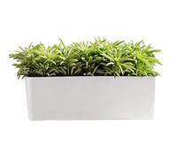 Plant Pots - 49.4x16.8x17cm Self-Watering Hydroponic Planter, ABS Flowerpot Indoor Outdoor Balcony Patio Windowsill | Convenient Plant Care for Living Room Entrance Vacation Traveling Garden Greenery