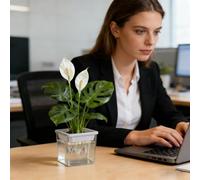 Plant Propagation Station | 3.27In Layered Soil-Free Hydroponic Planter Set | ABS Semi-Hydro Containers for Cuttings Seedlings African Violets Desk Balcony Windowsill Garden Decor