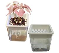 Plant Propagation Station - Hydroponic Planter | Layered Soil-Free Plant Containers | Decorative Propagation Stations For Semi-Hydro Cuttings Seedlings African Violets Balcony Desk Garden Porch