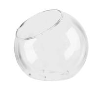 Plant Terrarium - Bottle Garden | Glass Planter Propagation Station | Ecosystem with Plants Home Display Centerpiece Terrarium Air Plant Holder Tank for Living Room