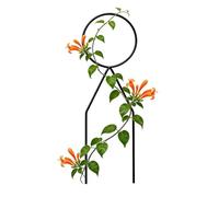 Plant Trellis Indoor - Iron 34x10cm | Metal Weather Resistant Stake | Decorative Climbing Support Wire Rack for Potted Ivy Vine Houseplants Flower Yard Patio Porch Landscape Balcony