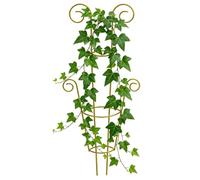 Plant Trellis - Metal Plant Support, Indoor Garden Trellis | Plant Trellis - Metal Plant Support Stakes, Indoor Outdoor Climbing Plant Trellis For Pothos Monstera Ivy Clematis Geranium