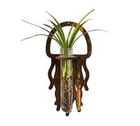 Plant Wall Terrarium - Jellyfish Wooden Propagation Station Decor
