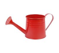 Plant Watering Can - 1L Garden Watering Can | Long Spout Metal Bottle, Flower Arrangement Bucket Vase for Outdoor Indoor Gardening, Herb Garden and Greenhouse