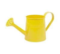 Plant Watering Can - 1L Garden Watering Can | Long Spout Metal Bottle, Flower Arrangement Bucket Vase for Outdoor Indoor Gardening, Herb Garden and Greenhouse