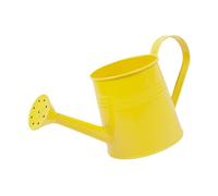 Plant Watering Can - 1L Garden Watering Can with Long Spout | 260g Flower Arrangement Bucket | Galvanized Ẃatering Cans, Metal Vase For Outdoor and Indoor Gardening
