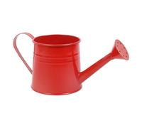 Plant Watering Can - 1L Garden Watering Can with Long Spout | 260g Flower Arrangement Bucket | Galvanized Ẃatering Cans, Metal Vase For Outdoor and Indoor Gardening