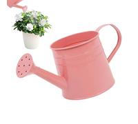 Plant Watering Can - 1L Garden Watering Can with Long Spout | 260g Flower Arrangement Bucket | Galvanized Ẃatering Cans, Metal Vase For Outdoor and Indoor Gardening