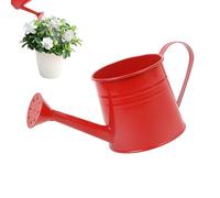 Plant Watering Can - Controls Water Flow, Small Watering Can For Indoor Plants - Controls Water Flow, Long Narrow Reach Spout, 1L Liquid Capacity + 260g Weight Token, Galvanised Iron Metal Jug
