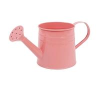 Plant Watering Can - Controls Water Flow, Small Watering Can For Indoor Plants - Controls Water Flow, Long Narrow Reach Spout, 1L Liquid Capacity + 260g Weight Token, Galvanised Iron Metal Jug