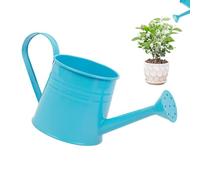 Plant Watering Can - Controls Water Flow, Small Watering Can For Indoor Plants - Controls Water Flow, Long Narrow Reach Spout, 1L Liquid Capacity + 260g Weight Token, Galvanised Iron Metal Jug