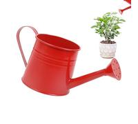 Plant Watering Can, Garden Water Can, 1L Watering Bucket with Efficient Long Spout Design and Stylish Metal Construction for Plants, Flowers, or Small Gardens, 1 Piece