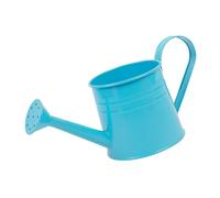Plant Watering Can, Garden Water Can, 1L Watering Bucket with Efficient Long Spout Design and Stylish Metal Construction for Plants, Flowers, or Small Gardens, 1 Piece