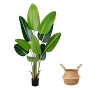 Planta Artificial Ave del Paraíso 160 cm, Palmera Tropical Artificial con 10 Hojas, Plantas Artificiales en Maceta para Decoración Interior Exterior, Sala de Estar, Oficina, Jardín, Regalo