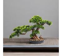 Planta Artificial Bonsai Pino Artificial, Simulación de Planta Artificial Bonsai Grande, Decoración Árbol Artificial en Maceta para la Sala de Estar Oficina Tienda