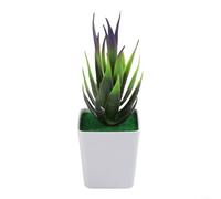 Planta artificial de bonsái de aloe de plástico pequeña para decoración del hogar, aspecto realista, adecuada para estante de escritorio de mesa y áreas de estar (C)