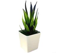 Planta artificial de bonsái de aloe pequeña de plástico para decoración del hogar, aspecto realista, adecuada para estante de escritorio de mesa y áreas de estar (D)