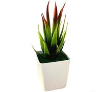 Planta artificial de bonsái de aloe pequeña de plástico para decoración del hogar, aspecto realista, adecuada para estante de escritorio de mesa y áreas de estar (E)