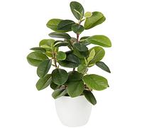 Planta artificial de Camelia, planta falsa en maceta, plantas artificiales de camelia en maceta para decoración del hogar, oficina, plantas de mesa, Camelia, bonsái