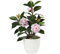 Planta artificial de Camelia, planta falsa en maceta, plantas artificiales de camelia en maceta para decoración del hogar, oficina, plantas de mesa, Camelia, bonsái
