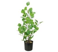 Planta Artificial de eucalipto en Maceta, árbol de eucalipto, Planta Artificial, árbol Decorativo, árbol, Plantas de plástico, Hojas de dólar de Plata, decoración de Boda, arbusto, Planta de Oficina,