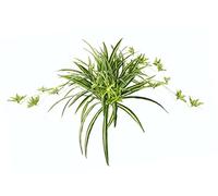Planta artificial de interior lirio verde clorophytum comosum lirio de agua araña planta araña lirio colgante planta artificial planta colgante planta de plástico falsa decoración de boda planta de